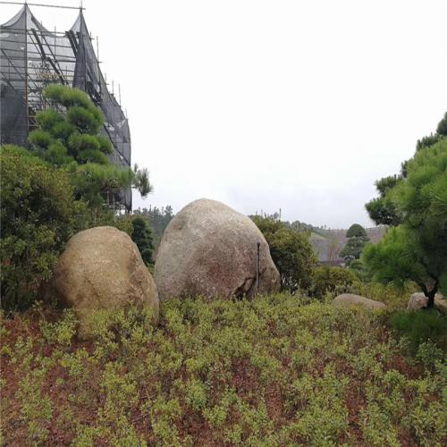 鹅卵石水冲石